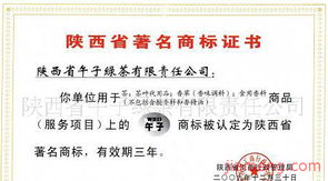 古韻匠心，連鎖共贏——午子綠茶全國飲品加盟招商啟幕